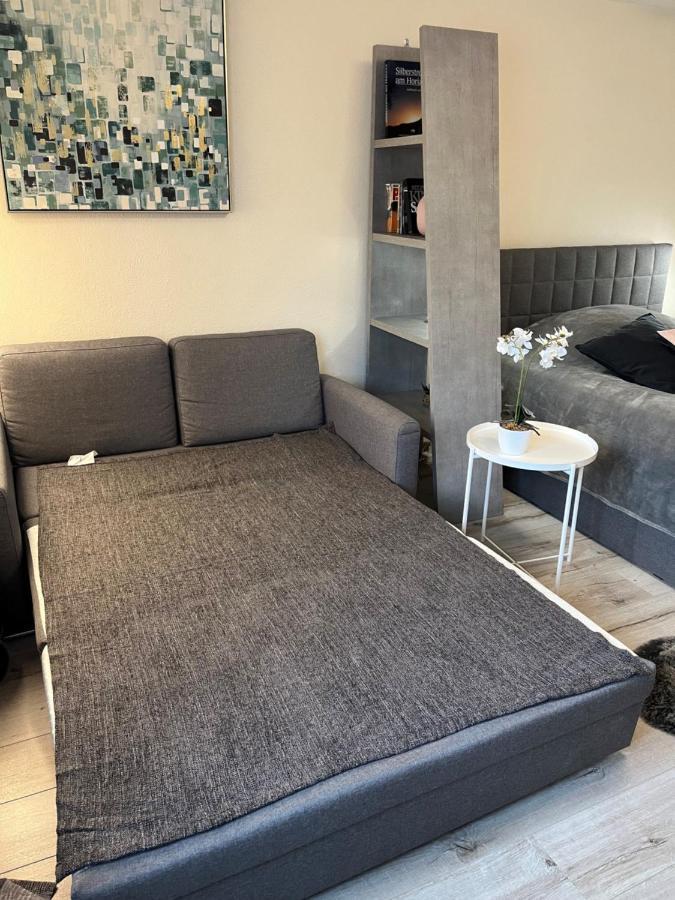 Alice Apartment Wackernheim Ingelheim am Rhein Dış mekan fotoğraf